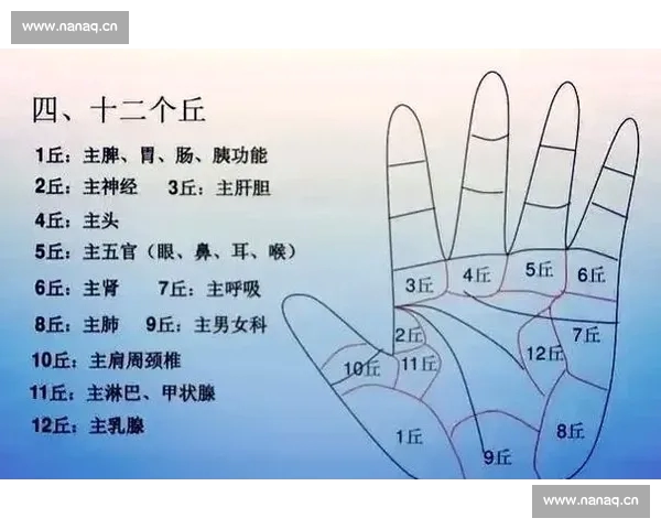 全面解析两队赛季数据对比揭示胜负关键因素